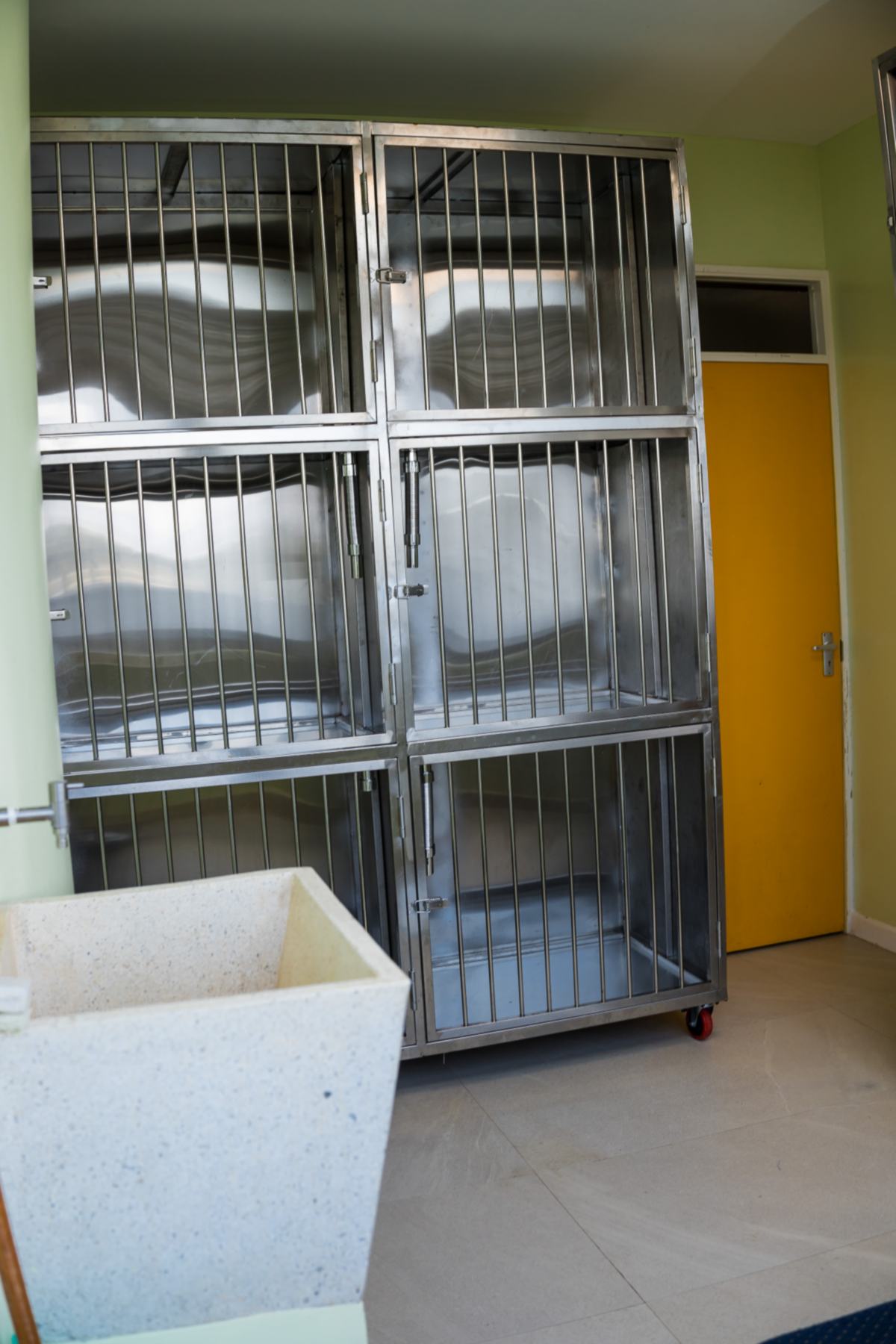 Mobivet Veterinary Clinic gallery photo